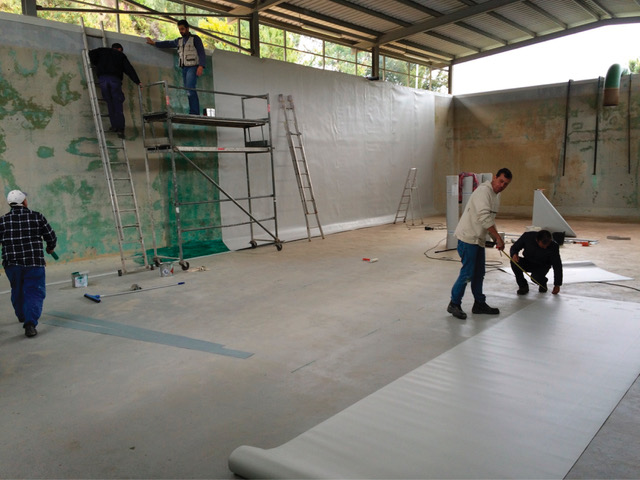 TPO Drinkwater 3.jpeg