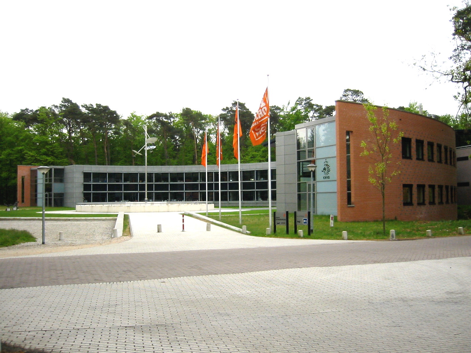 TPO Dakbedekking 5.jpg