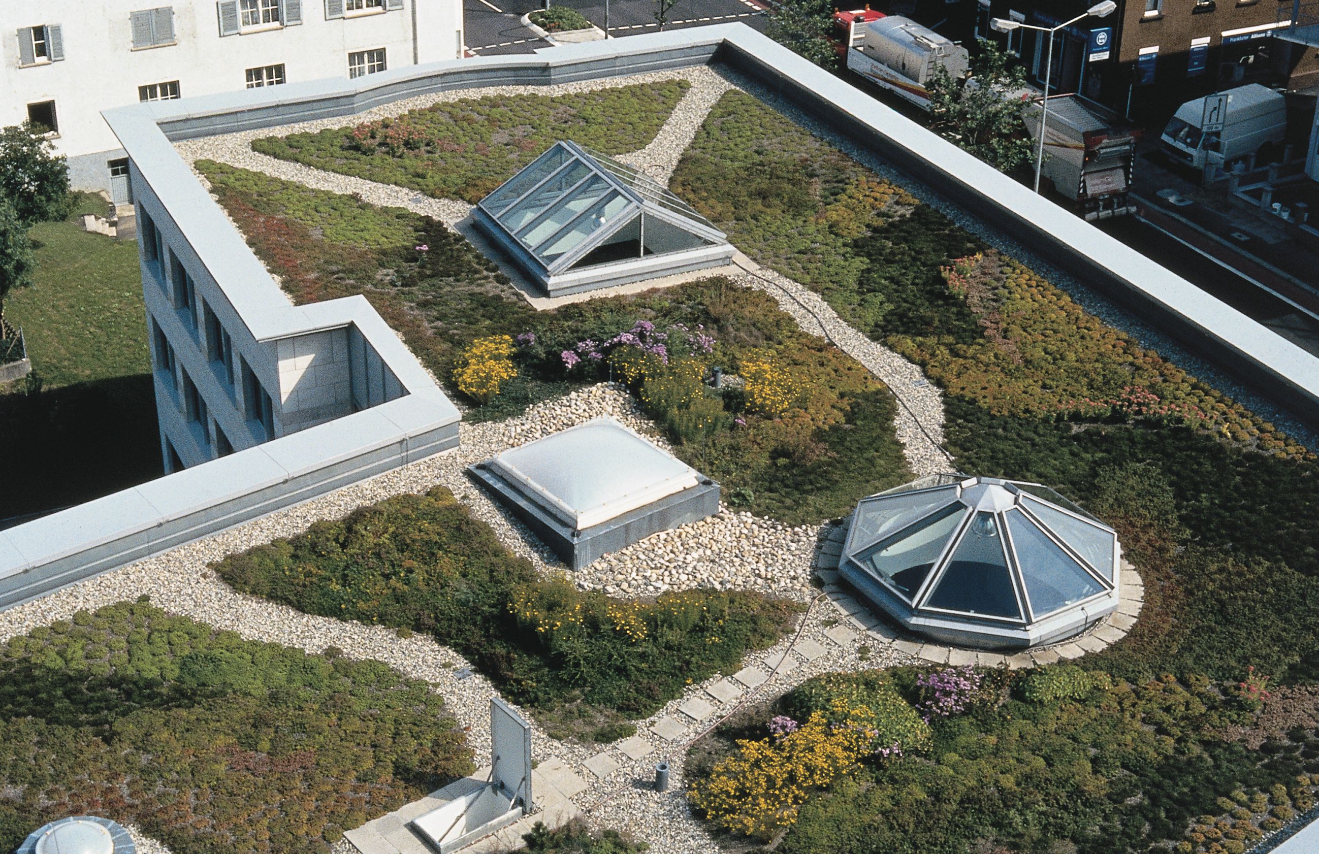 ECB Dakdichting groendak