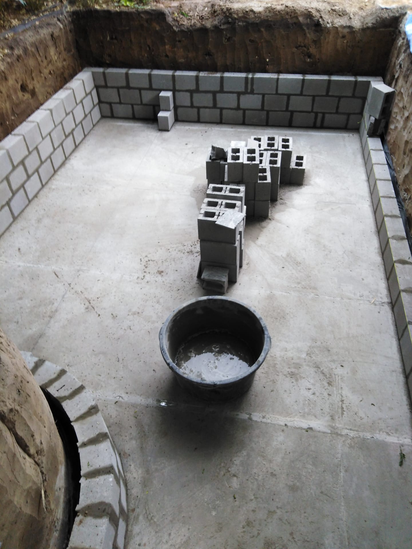 Vijverdichting België (1)