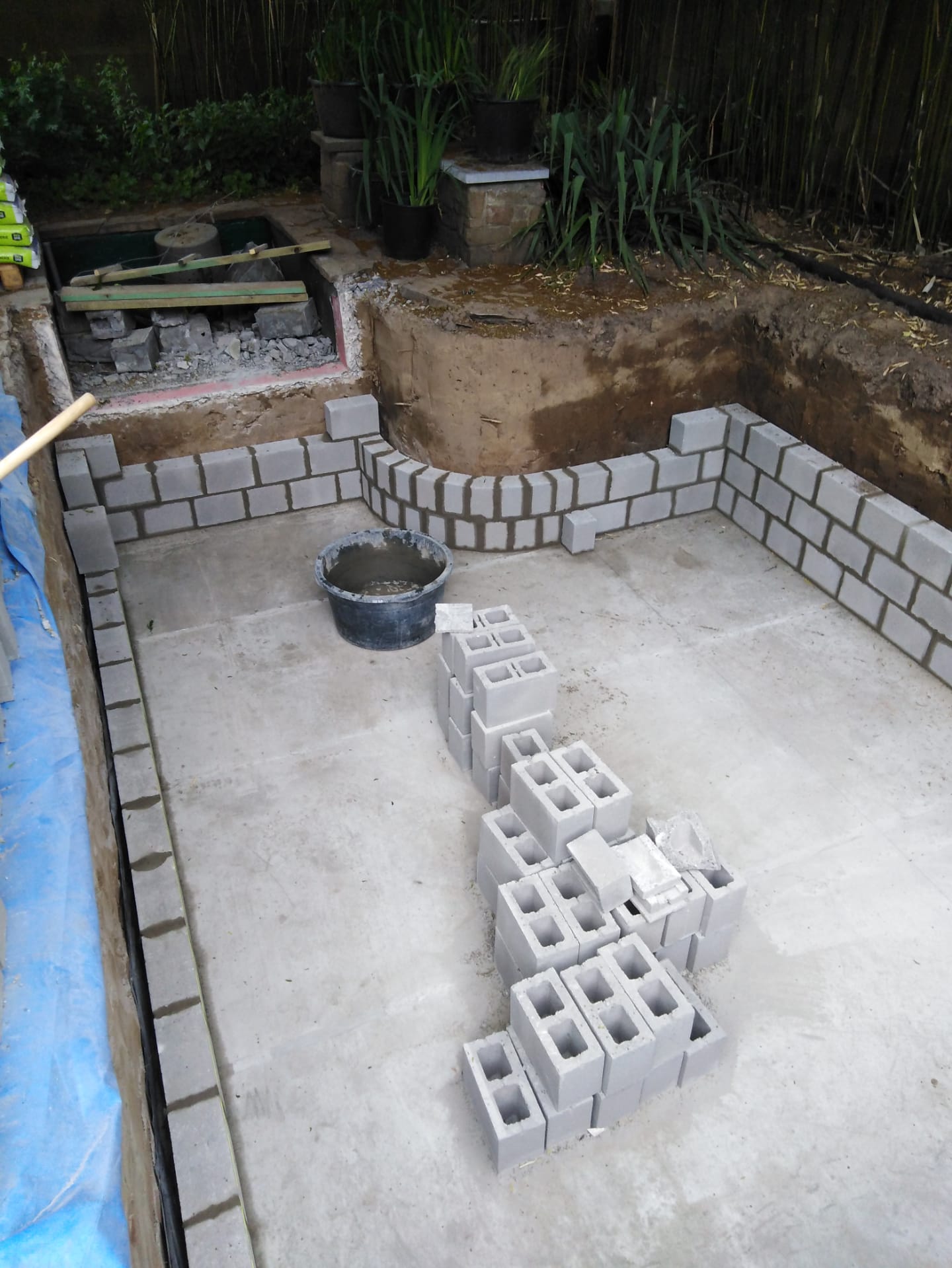 Vijverdichting België (2)