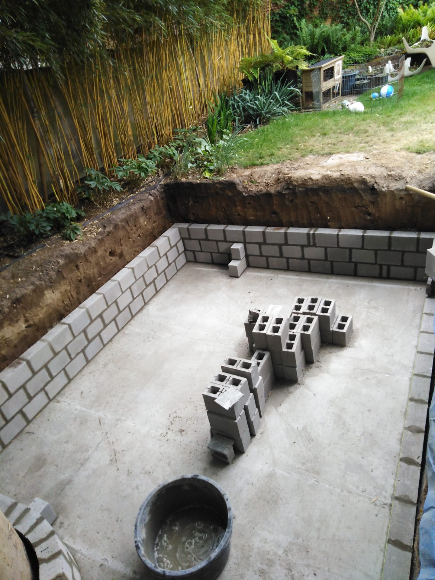 Vijverdichting België (4)