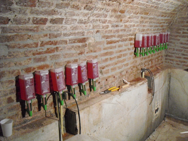 Opstijgend vocht  kelderwand.JPG