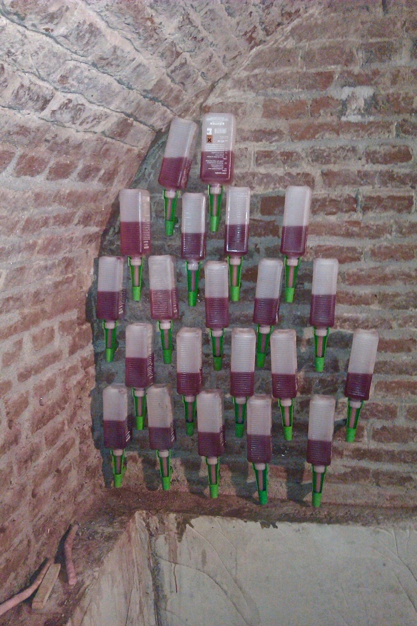 Opstijgend vocht gewelvenkelder.jpeg