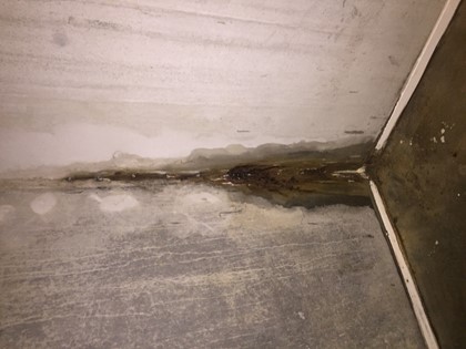 Lekkage betonwand.JPG