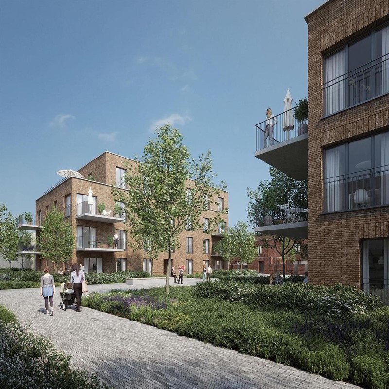 Castor linkeroever Antwerpen